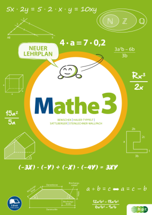 Mathe 3 für die Sekundarstufe I